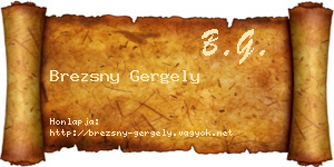 Brezsny Gergely névjegykártya